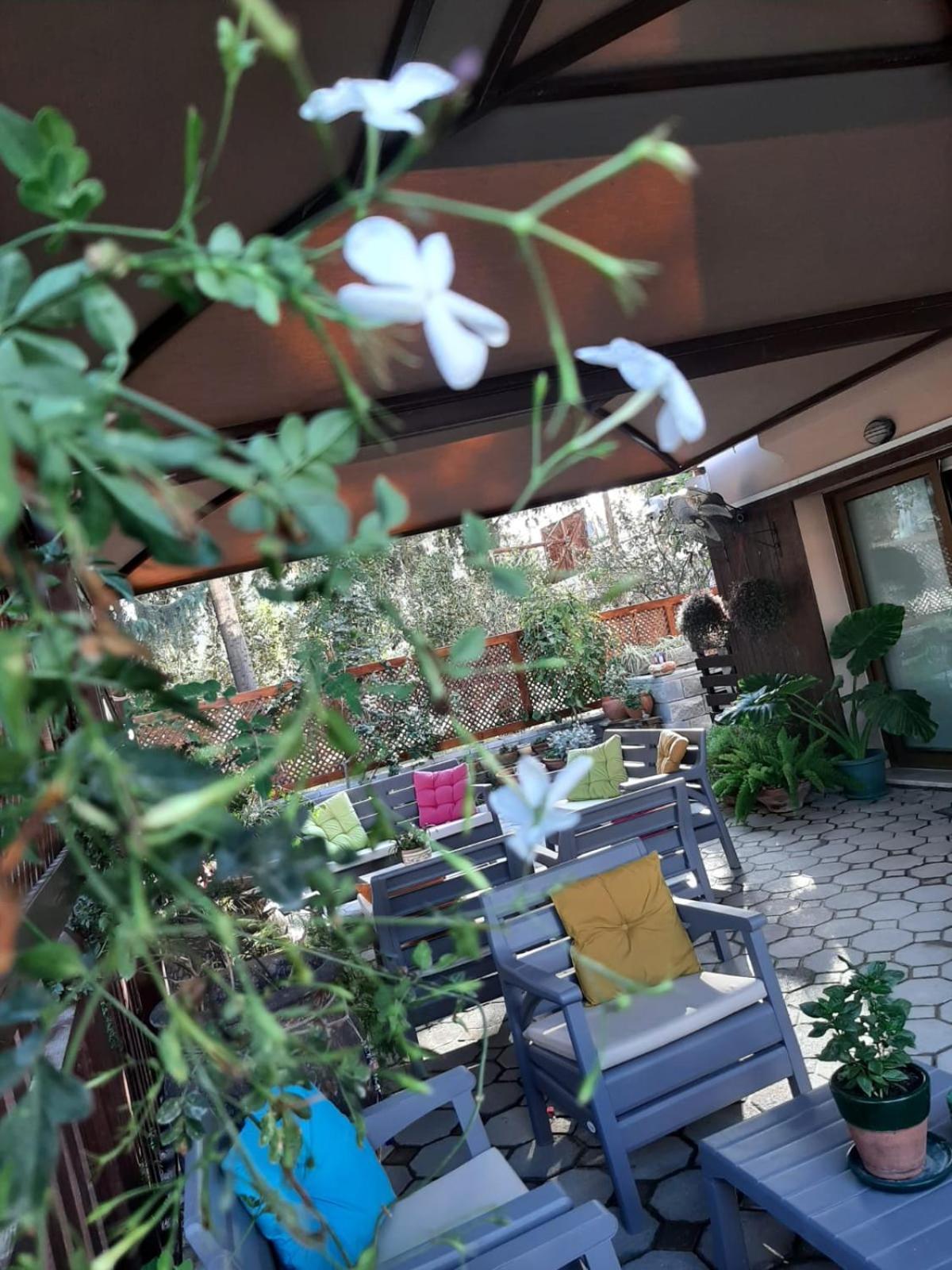 Denge Homes Λευκωσία Εξωτερικό φωτογραφία